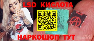 крисы Аргун