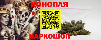 крисы Аргун