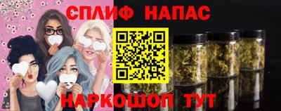 крисы Аргун