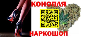 крисы Аргун