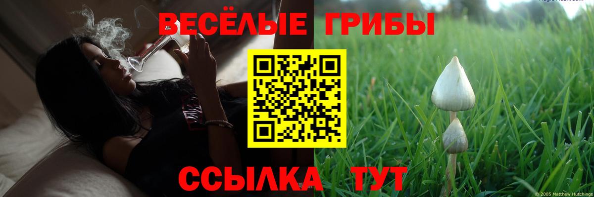 Каннабис  Вход с VPN  Марихуана  Будённовск  Меф МЯУ МЯУ кристаллы  ГАШИШ  COCAIN 