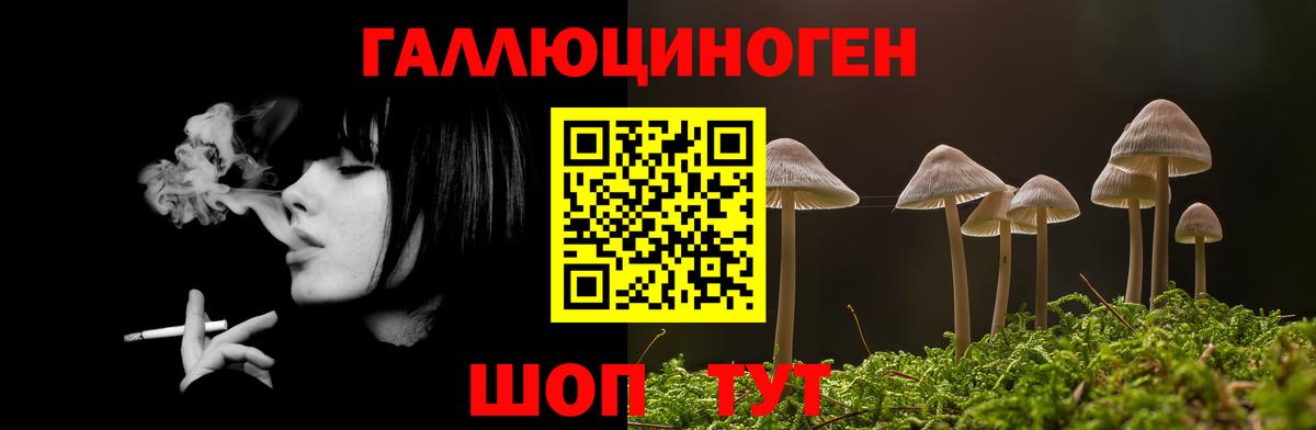 Галлюциногенные грибы Cubensis  Псилоцибиновые грибы Psilocybine cubensis  Вход с VPN  Будённовск 